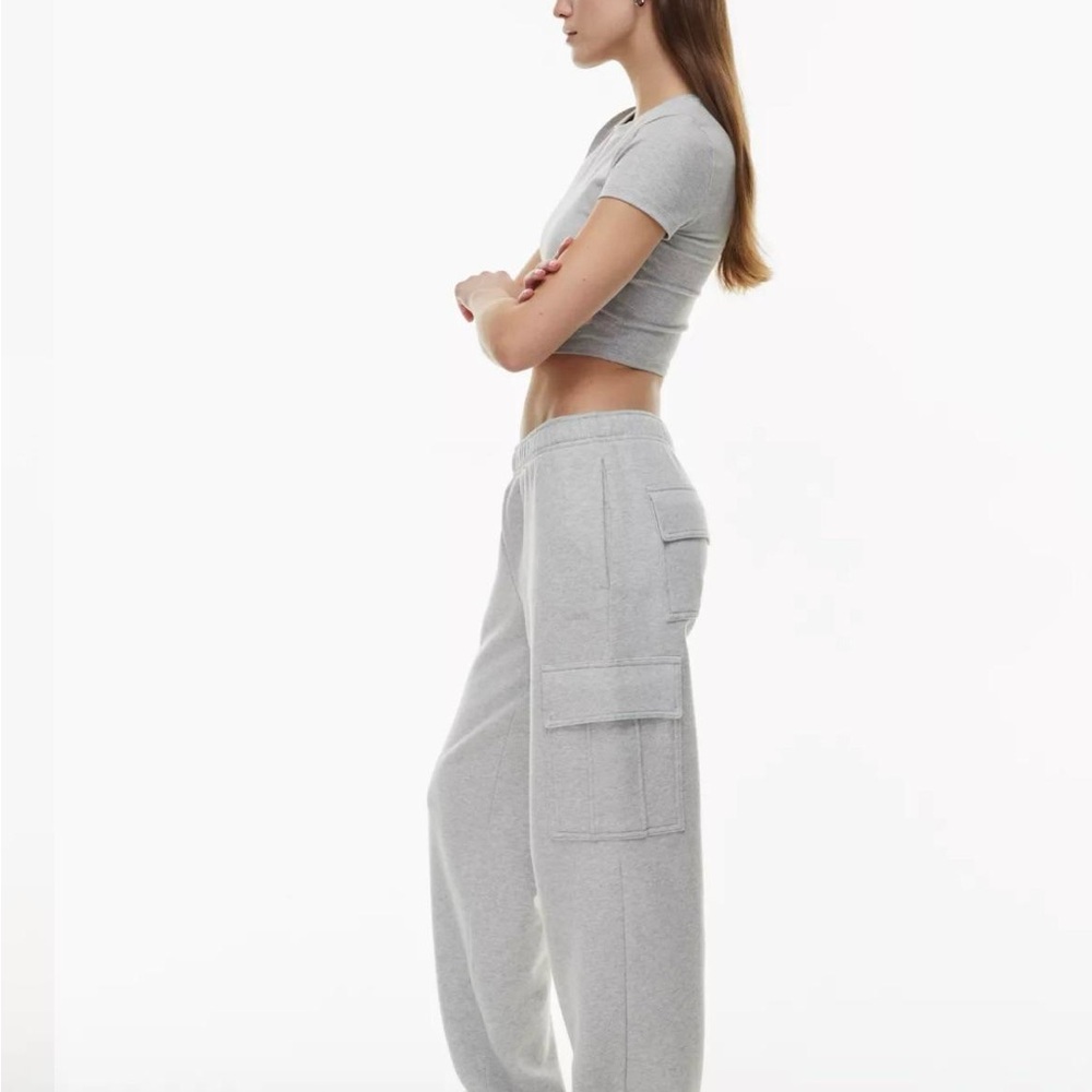 EUC Aritzia Cozy Fleece Mega Cargo Sweatpants